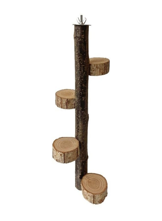 SS Organic® Natural Wood Bird Perch Stand, Hanging Multi Round Branch Perch for Cage, Parrots, Parakeets Cockatiels, Conures, Macaws, Love Birds, Finches Bird Toys - Image 1